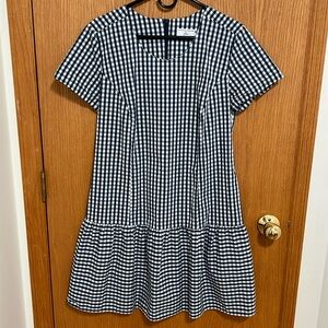 J Crew Size M Universal Standard Blue and White Gingham Dress